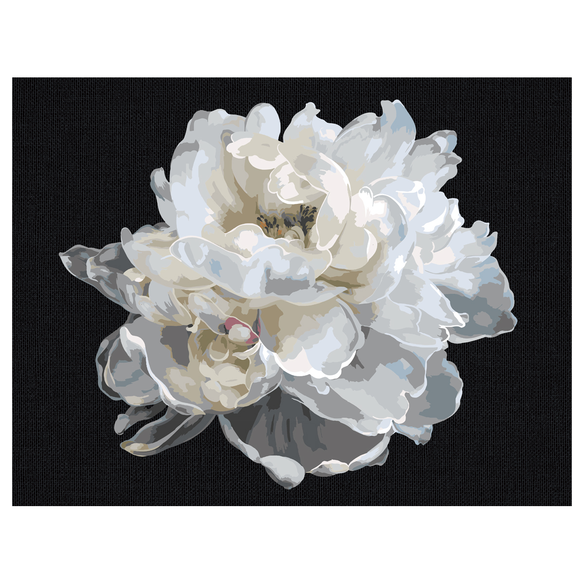 Картина по номерам на черном холсте ТРИ СОВЫ Белый цветок, 30*40, c акриловыми красками и кистями