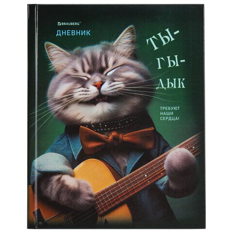 Дневник 5-11 класс 48л твердый, BRAUBERG, глянцевая ламинация, с подсказом, "Ты-Гы-Дык", 107184