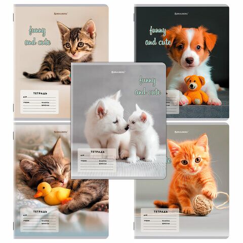 Тетрадь 12л косая линия BRAUBERG обложка картон, CATS AND DOGS, 107288