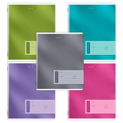 Тетрадь 18л линия BRAUBERG ONE COLOUR 107301