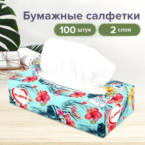 Салфетки косметические 100 шт. в картонном боксе 2-слойные, LAIMA "Everyday", 20х20 см