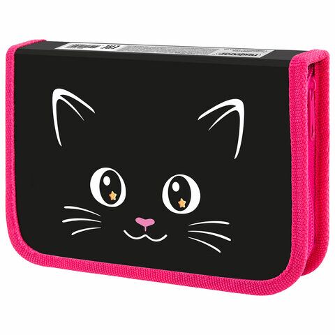 Пенал ПИФАГОР 1 отд ламинированный картон, 19х11 см, "Dark kitten", 273467