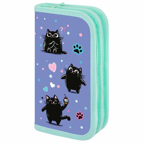 Пенал ПИФАГОР 2 отд ламинированный картон, 19х11 см, "Funny cats", 273481