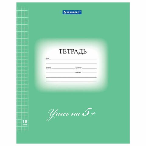 Тетрадь 18 л. BRAUBERG ЭКО 5-КА, клетка, обложка плотная мелованная бумага, ЗЕЛЕНАЯ, 402987