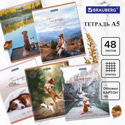 Тетрадь А5 48 л. BRAUBERG скоба, клетка, обложка картон, "Best Friends" (5 видов в спайке), 404360