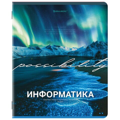 Тетрадь предметная КЛАССИКА ПРИРОДА 48л обложка картон, ИНФОРМАТИКА, клетка, подсказ, BRAUBERG, 405088