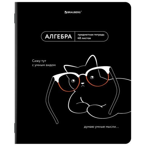 Тетрадь предметная МЕМЫ 48л TWIN-лак, АЛГЕБРА, клетка, подсказ, BRAUBERG, 405096