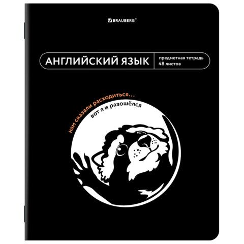 Тетрадь предметная МЕМЫ 48л TWIN-лак, АНГЛИЙСКИЙ ЯЗЫК, клетка, подсказ, BRAUBERG, 405098
