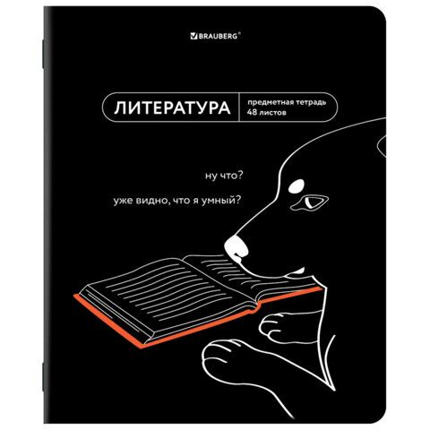 Тетрадь предметная МЕМЫ 48л TWIN-лак, ЛИТЕРАТУРА, линия, подсказ, BRAUBERG, 405104