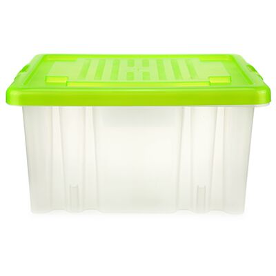 Контейнер для хранения пластмассовый "Darel-box" 18л, 41х30х21см, зеленый (Россия)