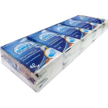 Носовые платочки бумажные Семья и Комфорт 3-слойные (10 пачек по 10 платков)